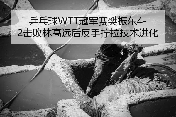 乒乓球WTT冠军赛樊振东4-2击败林高远后反手拧拉技术进化